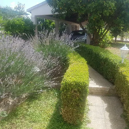 Daire Anita, Stupin Celine *