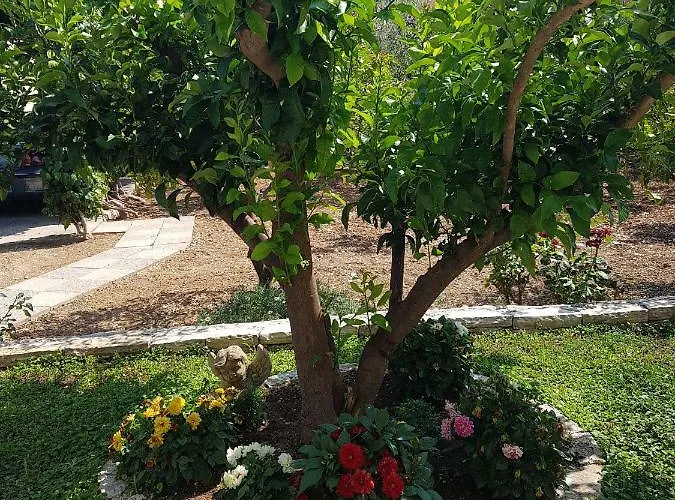 Apartment Anita, Stupin Celine *